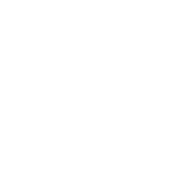 youngheartclothing